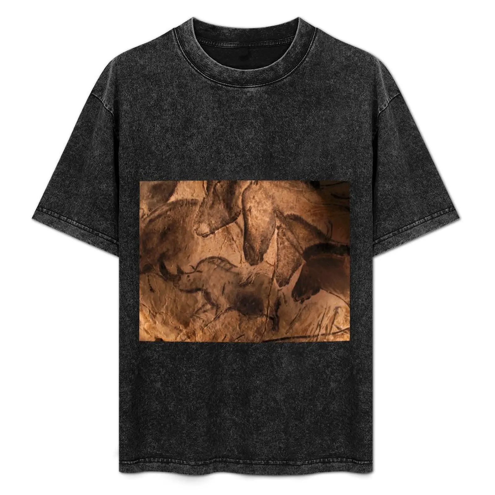 Pinturas rupestres de la Edad de Piedra, Chauvet, Francia (C009/7647) Camiseta de corte holgado para tallas grandes y altas