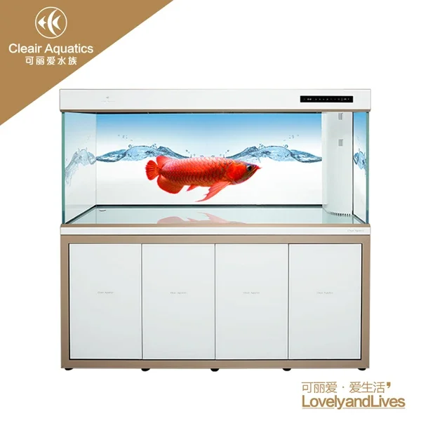 Cleair Aquatics Arowana Fish Tank Aquarium