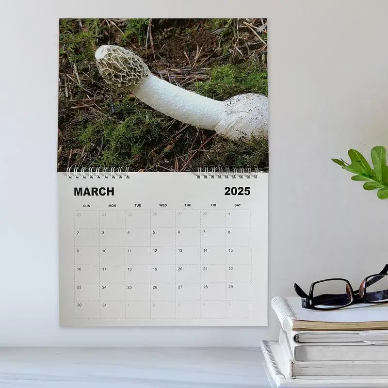 Nature Dicks Calendar 2025 Monthly Writing Planner Monthly Planning Wall Calendar 2025 Monthly Planning Binding Wall Calendar