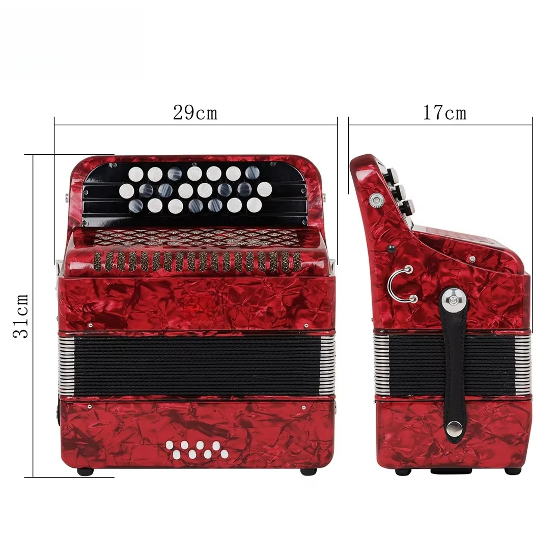 Accordion Instruments Professional Adult and Child 22 Keys 8 Bass Beginner Performance Grade Accordion