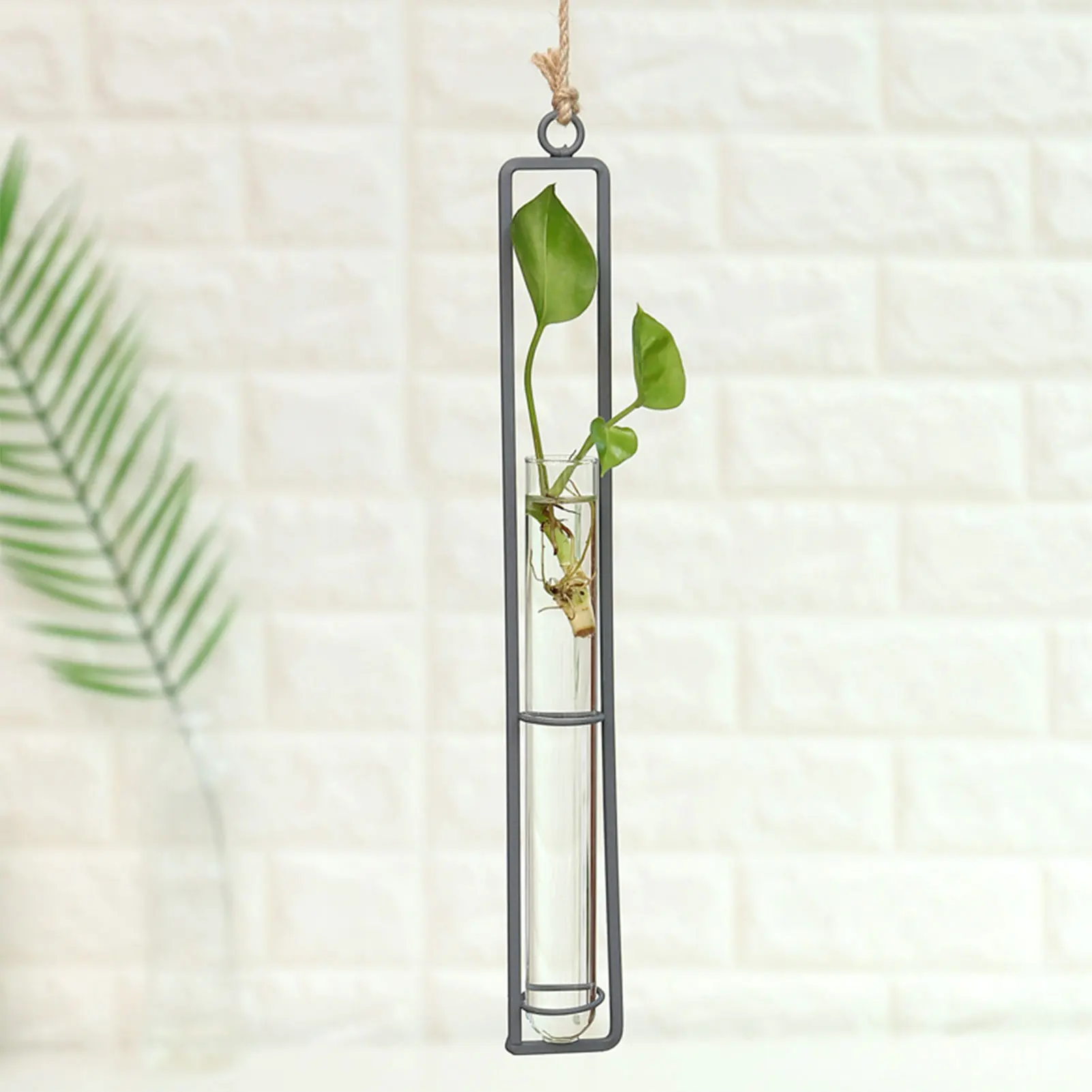 Long Glass Hanging Flower Pots Clear Exquisite Wall Hanging Tube Vase for Garden Enthusiasts Gift