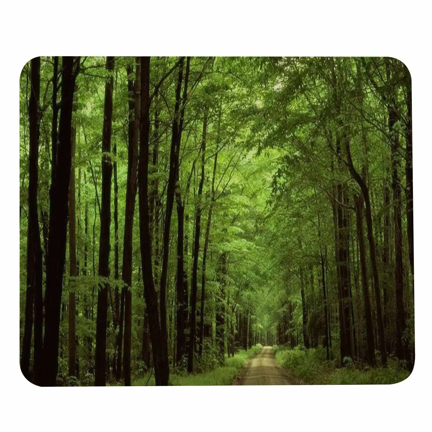 High Quality Beautiful Scenery Printing Lock Edge Gaming Mousepad Gamer Mouse Mat Keyboard Mats Desk Pad Mousepads 30x25cm