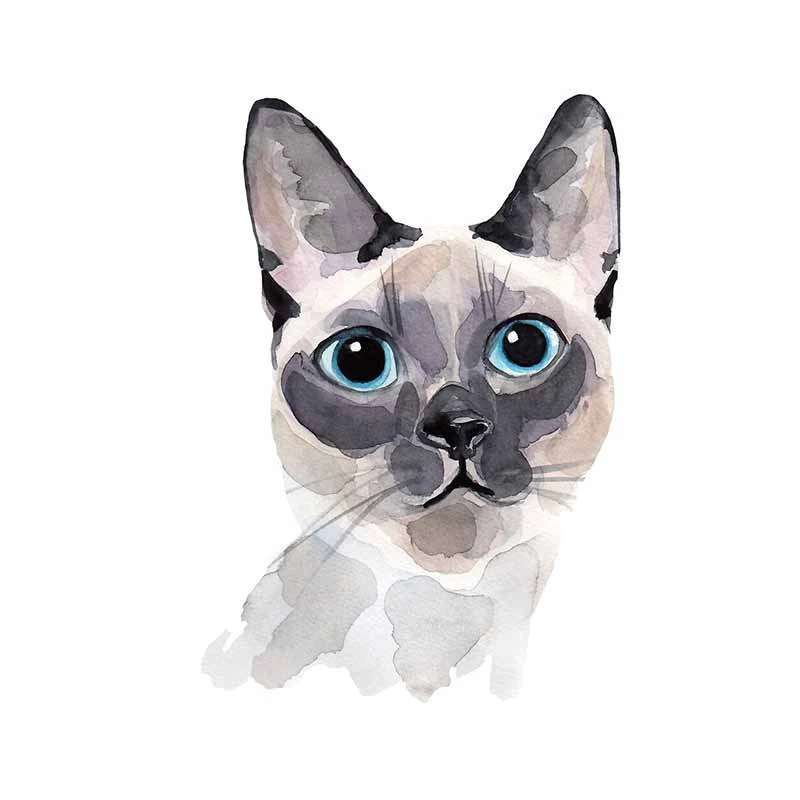 

Car Sticker Creativity Siamese Watercolor Cat With Blue Eyes Personality PVC Fashion Auto Window Bumper Waterproof Decal