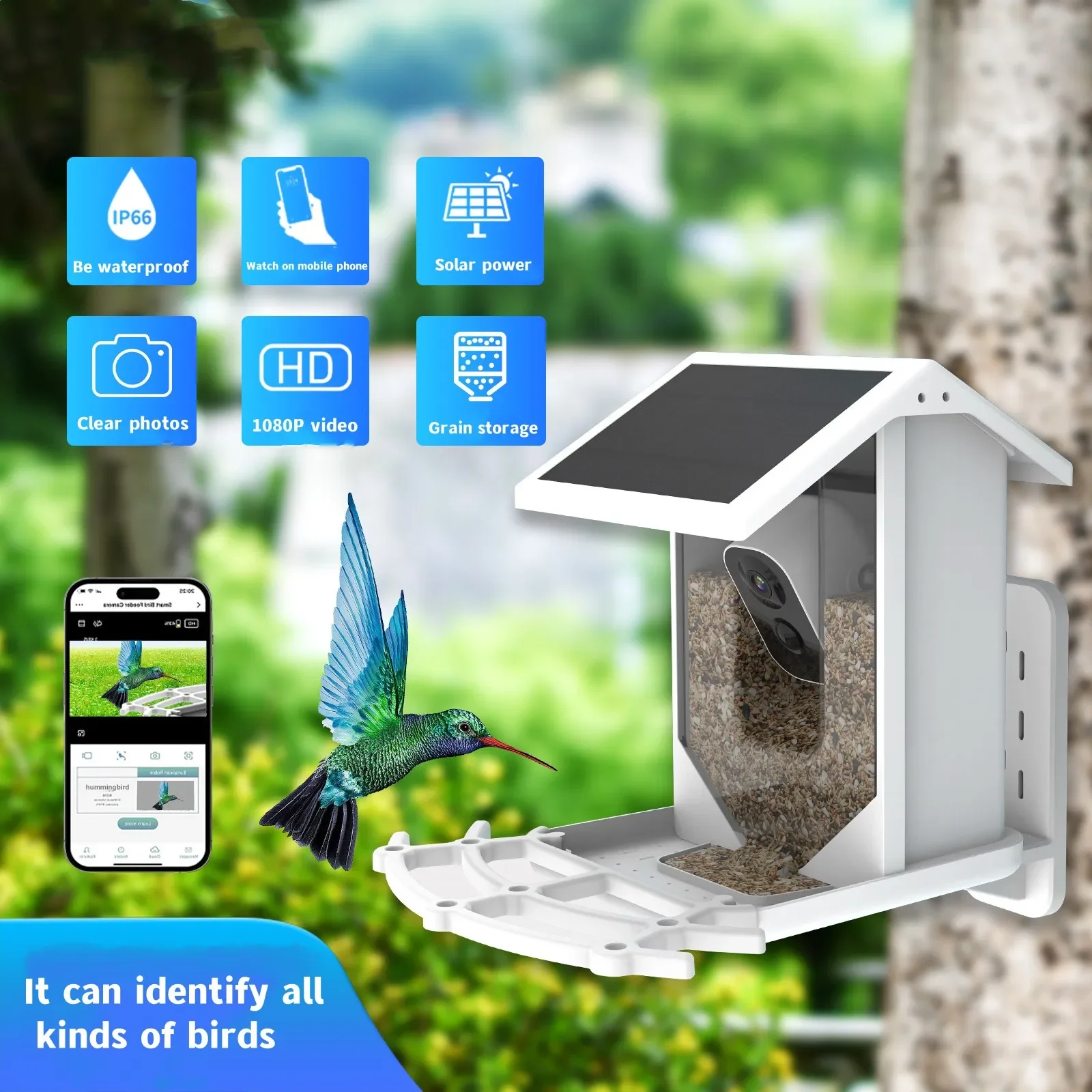 Bird Feeder with Camera,1080HD Bird House Solar Panel Auto Capture Bird Videos App Notify Free AI Identify Bird Species