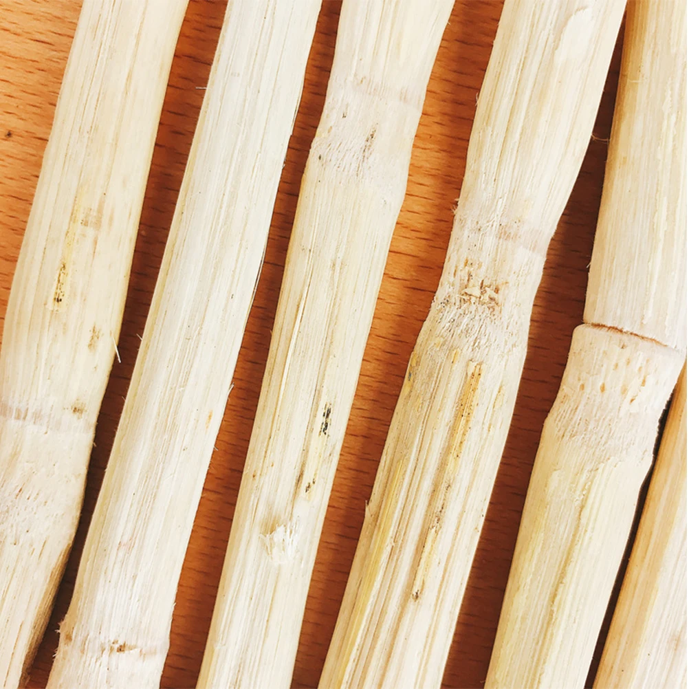 

500G Teething Sticks for Small Pets Chew Toys Rabbit Guinea Pig Grinding Play Durable Chew Sticks