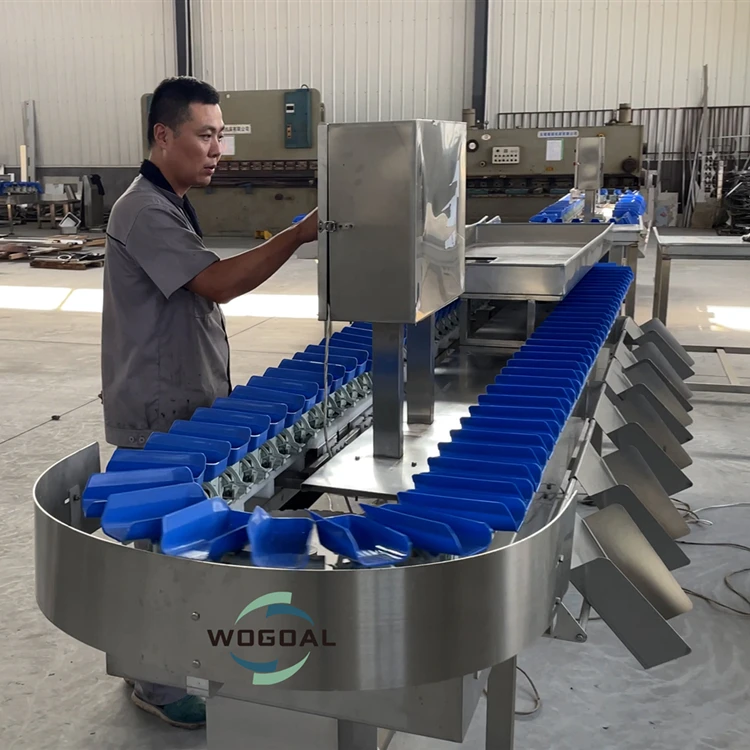 Industrial Weight Sorting Machine for Chicken Fish Seafood Meat