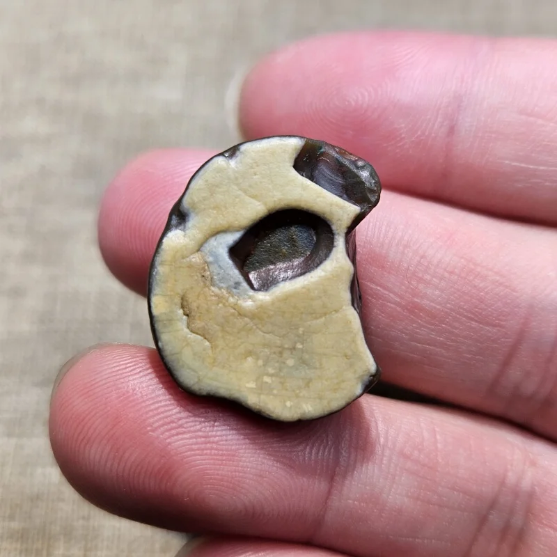 

Rare Natural Stone Inner Mongolia Agate With Dragon Scale Pattern Gemstone Animal Shaped Stone Decorative Home