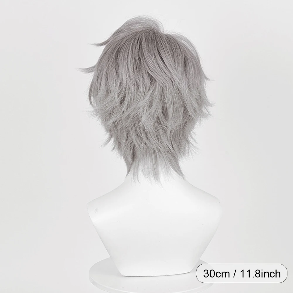 Short Straight Grey Synthetic Wig with Bangs Anime Game Cosplay Fluffy Heat Resistant Wig for Daily Party