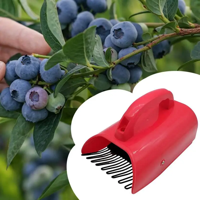 Portable Berry Pickers Metal Comb Rakes Picking Fruit Collecting Scoop Handle Blueberry Collection Harvester Picking Garden Tool