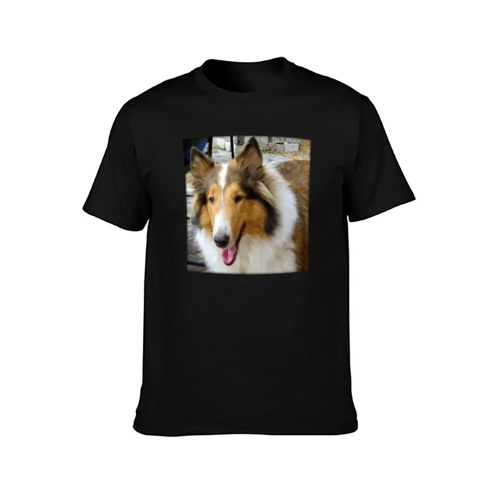 Collie T-Shirt, Summer Casual Cotton Tee, Oversized Streetwear Tops, Vintage Graphic Print, Loose Fit Short Sleeve, 100% Cotton