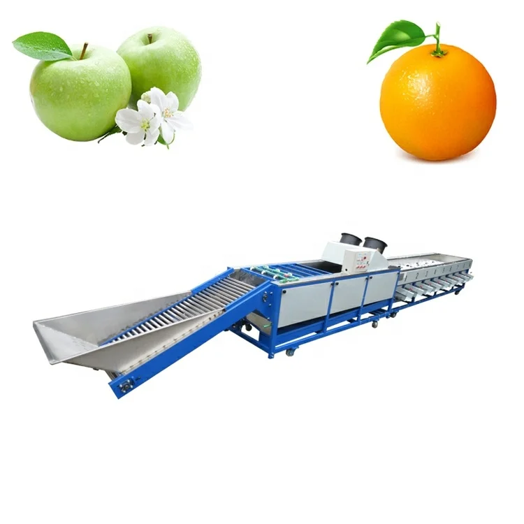 سعر المصنع التلقائي الفاكهة الخضار فرز التفاح البطاطس الطماطم البرتقال الأفوكادو البصل الصف غسالة حجم وزنها