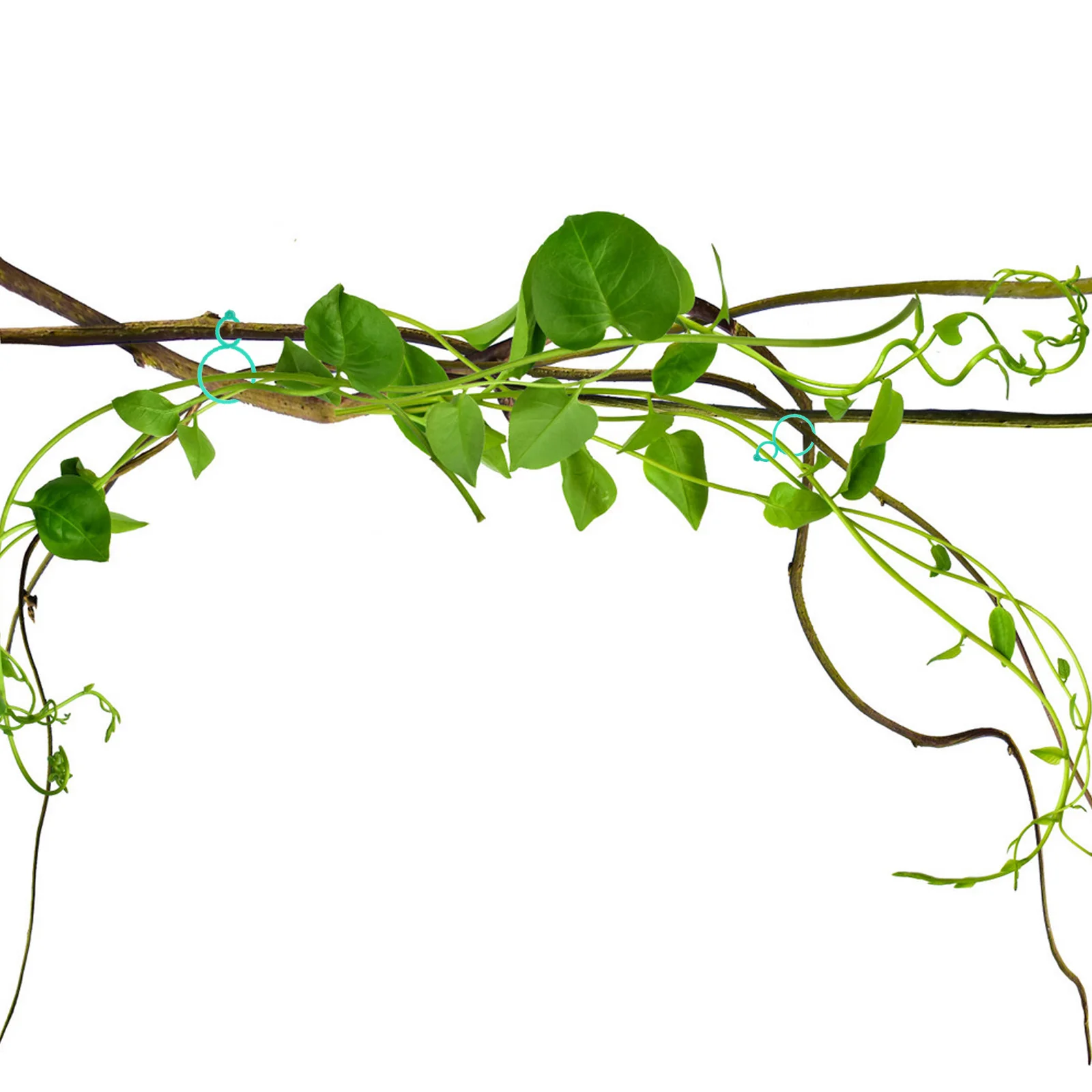 

120Pcs Green Plant Clips Strong Climbing Plant Supports Durable Tomato Vine Clips Garden Trellis Accessories Tomato Garden Clip