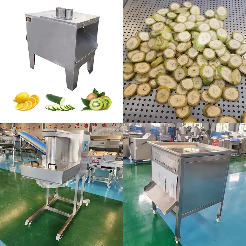 for DY Stainless Steel Fruit Vegetable Slicer with Motor 600-1500kg/h Processing Capacity for Onions Bananas etc
