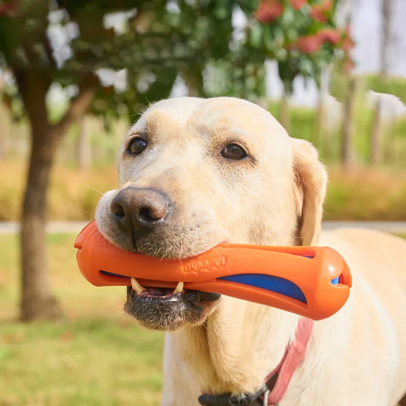 Floating Water Dog Chew Toy Hydraulic Stick Interactive Training Resistant Bite Puppy Outdoor Pool Beach Play Toy
