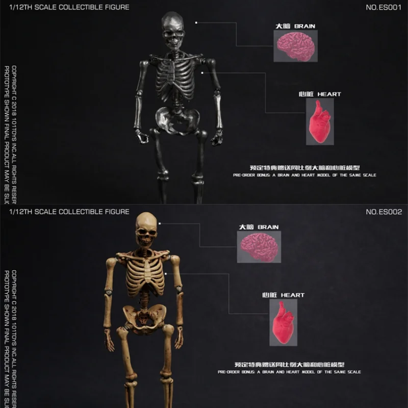 

In Stock 101TOYS 1/12 Scale Skull Skeleton Raw Material ES001-ES002 Collectible Action Figure Toy for Hobbyists and Fans