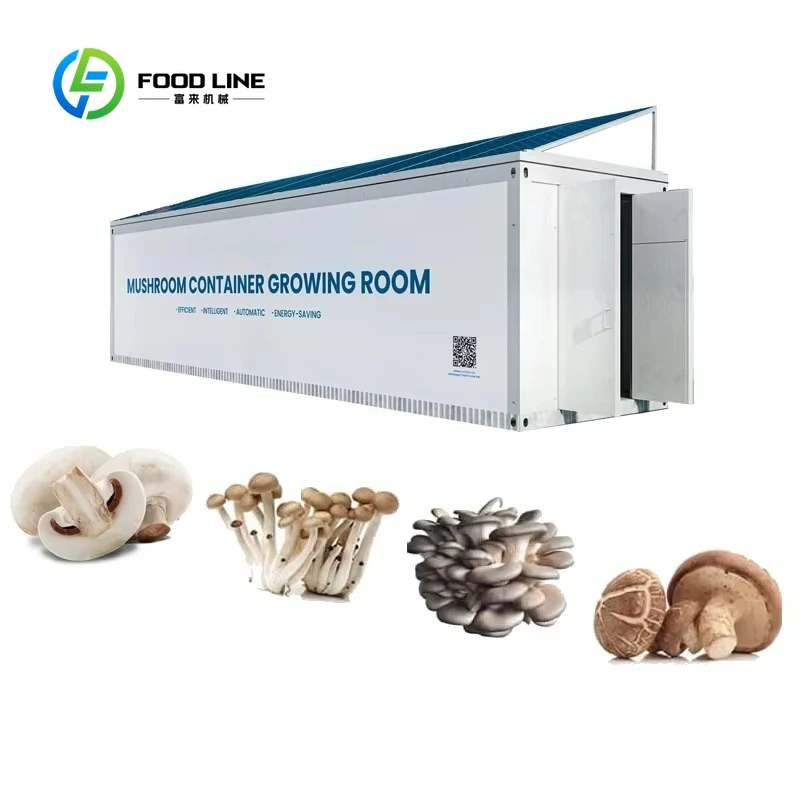 Customized 20ft 40ft Mushroom Fruiting Container Climate Controlled Room with Multi Layer Shelving for Farming