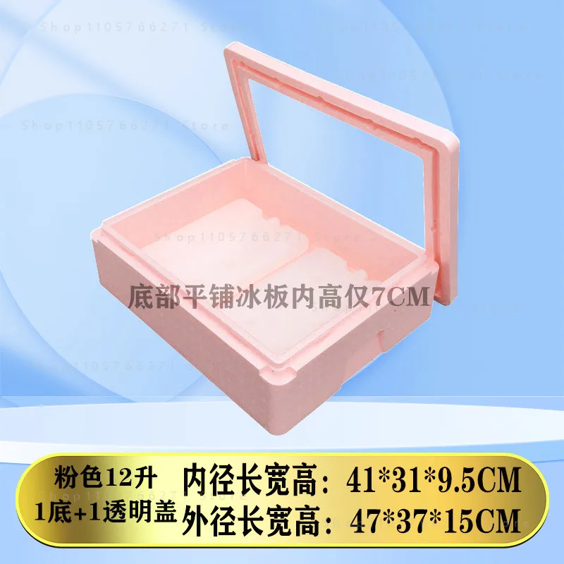 Portable Insulated Foam Cooler Box with Transparent Cover - Tiramisu Mold Storage & Food Fresh-Keeping Container
