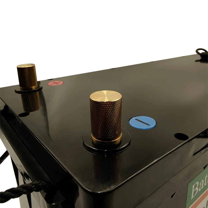 Waterproof 48V 150Ah LiFepo4 Lithium Battery with Bluetooth BMS for 5kw Motorhome Solar Storage Boat Inverter Golf Cart+Charger