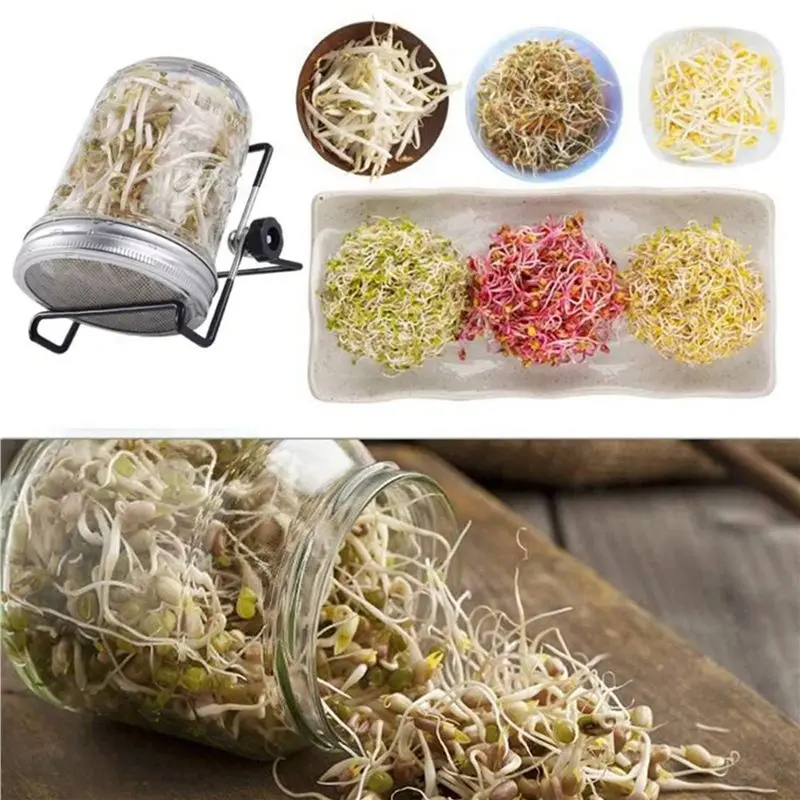 BAAG-12 Pack Stainless Steel Sprouting Jar Lid For Wide And Wide Mouth Mason Jar For Growing Sprouts