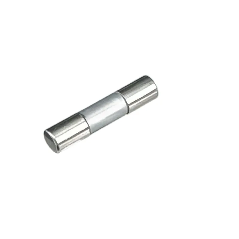 For Pure Silver Fuse Silver Shell Core Monocrystalline Silver 5x20 6x30mm