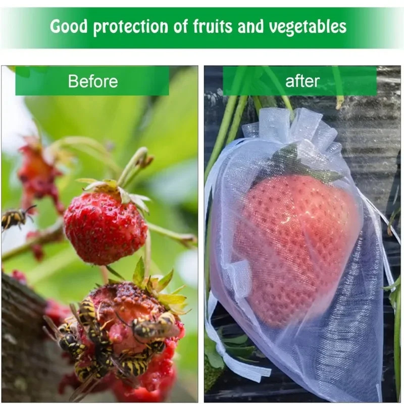 1-200 قطعة أكياس حماية فاكهة العنب أكياس نمو النبات حديقة مكافحة الطيور المعاوضة شبكة حقيبة الخضار الفراولة أكياس أدوات الحدائق