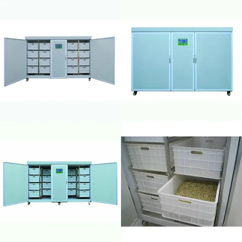 For Daily Output 250kg Mung Bean Germination and Growth Hydroponics Machine Automatic Sprouting Equipment