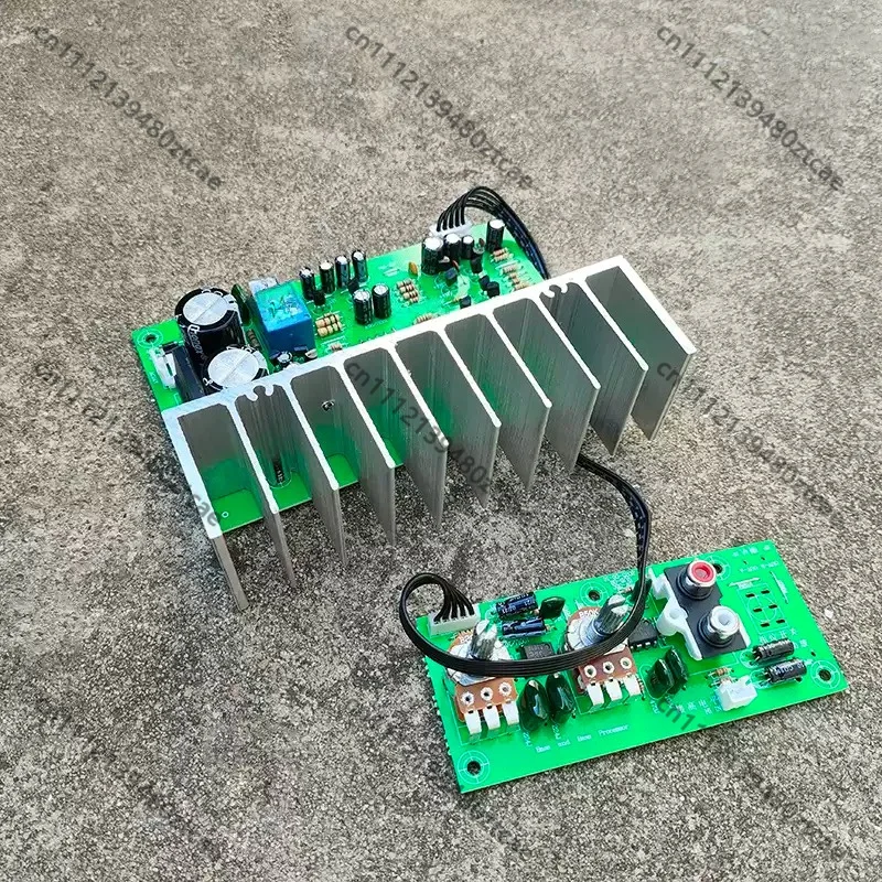 Super Heavy Bass Amplifier Board, Professional Pure Subwoofer Audio System Amp Board, High Power Transistor DIY