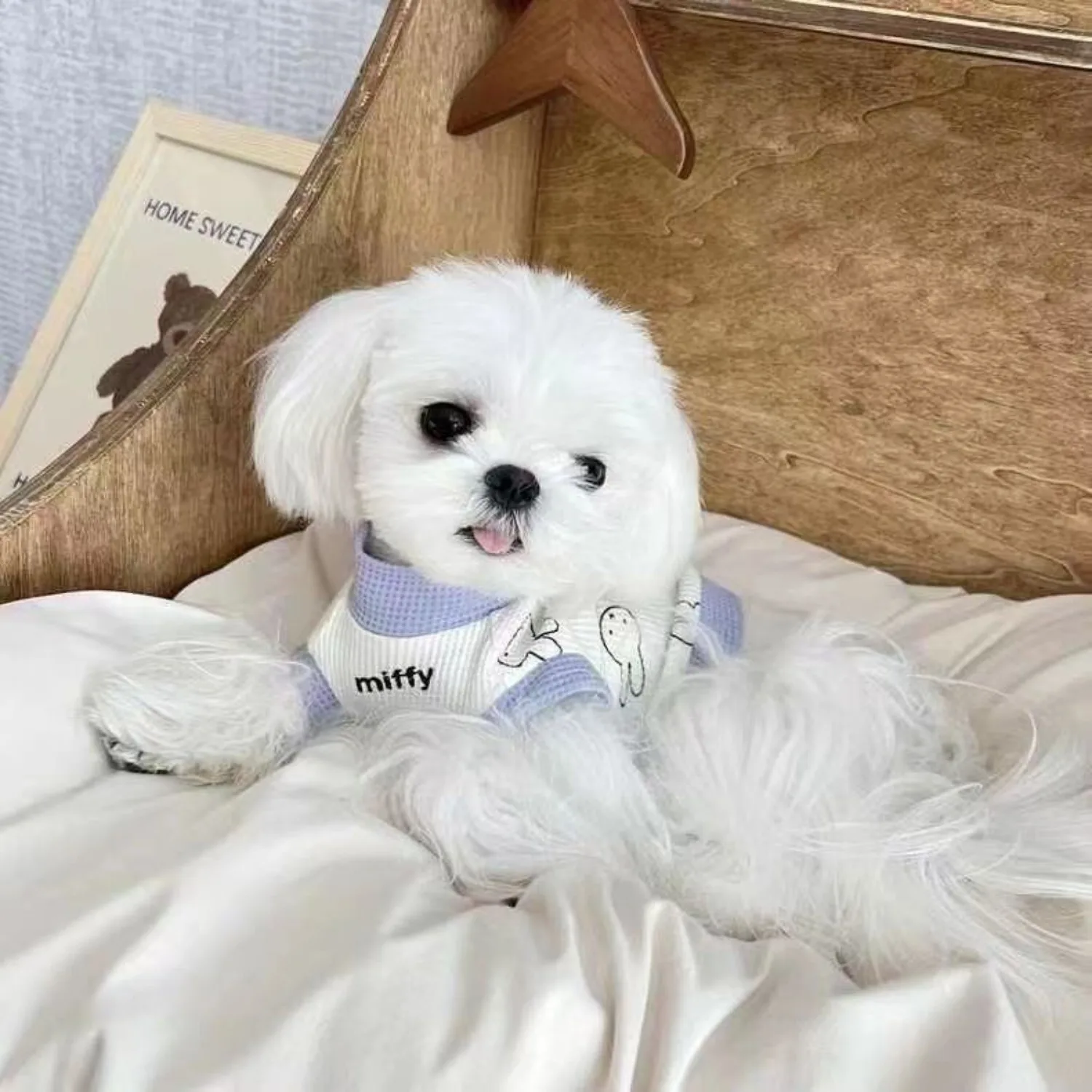 Kawaii Cartoon Miffy Waffle Pet Costume White Purple Splicing Fashion Daily Wear Perfect Gift for Puppy Kitten Lovely Beaytiful