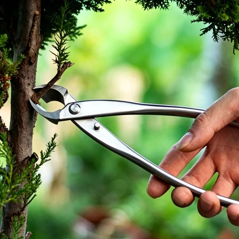 Stainless Steel Dual Purpose Bonsai Knob Cutter Oblique Branch Pruning Shears Tree Knot Burl Removal Garden Bonsai Styling Tool