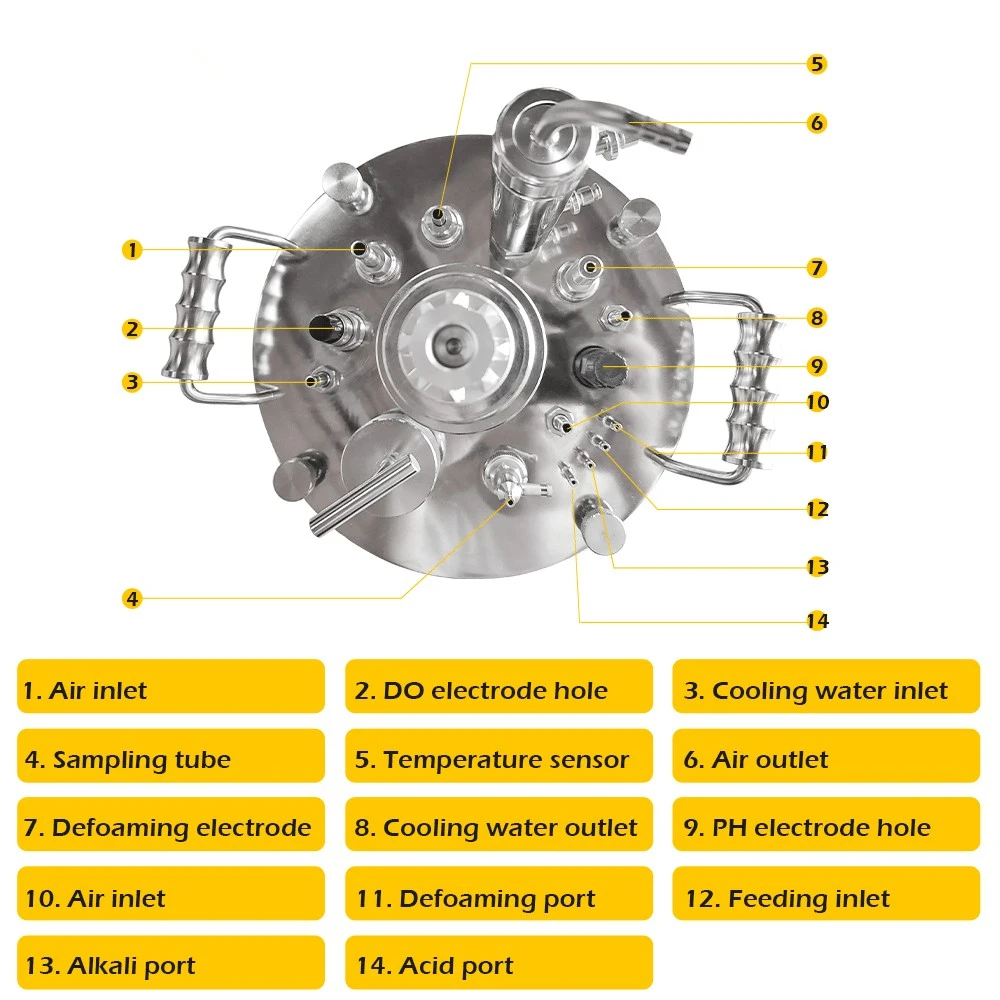 Lanphan Laboratorio Fermentatore di vetro da banco Bioreattore Microbico Bioreattore 5L 10L 15L con controllo della temperatura e del PH
