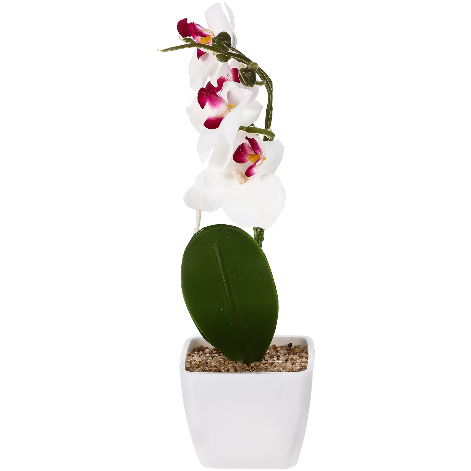 

Artificial Phalaenopsis Bonsai White Orchid Plant Flowers for Table Decoration in Pot Potted Long Lasting Plastic Material