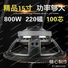 مضخم صوت كامل التردد 15 بوصة 220 مغناطيسي 100 كور 700 وات عالي الطاقة لأداء المسرح مكبر صوت KTV خارجي لحفلات الزفاف