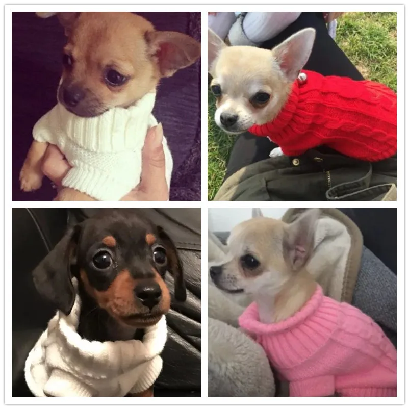 XXXS XXS XS Teacup Chihuahua Dog Sweater Warm Knitted Clothes Apparel Puppy Cat Coat