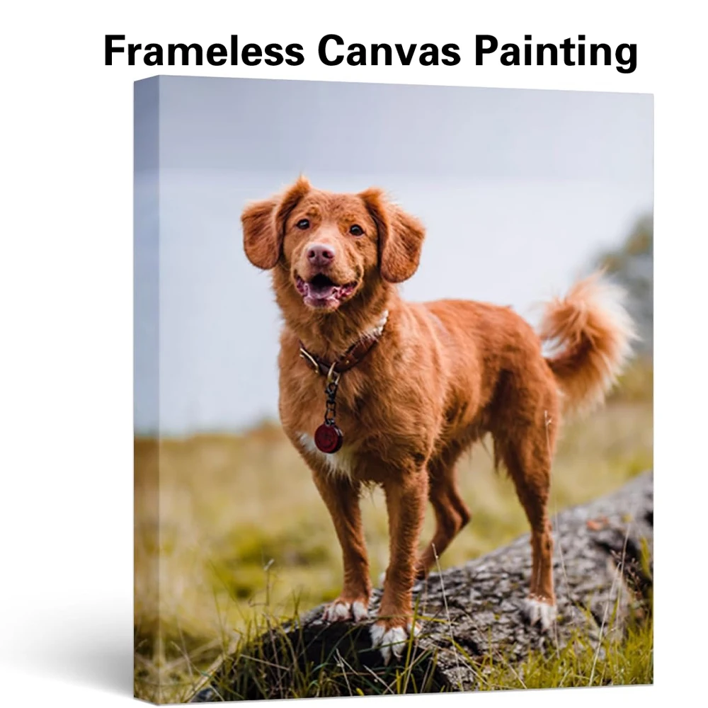 1Pc Frameless Perso…