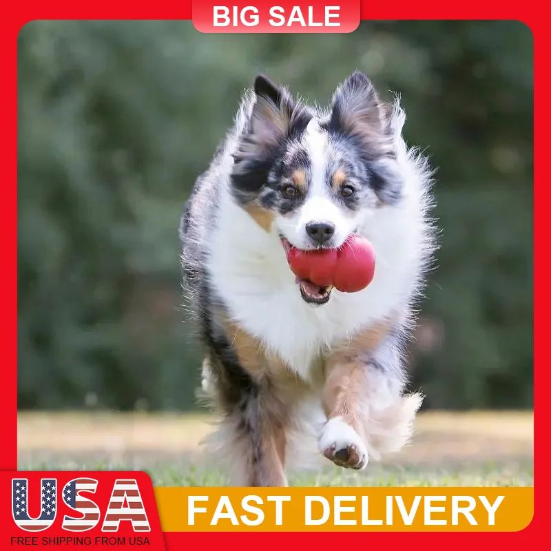 

Classic Chew Dog Toy Red Refillable Rubber Durable Fetch Toy for Average Chewers Vet Recommended Mental Stimulation USA Made