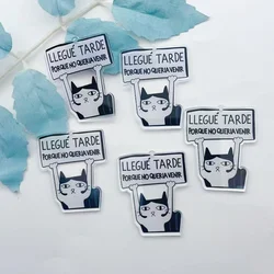 10 pcs fun and versatile English letter cat jewelry necklaces bracelets earrings pendants DIY craft products