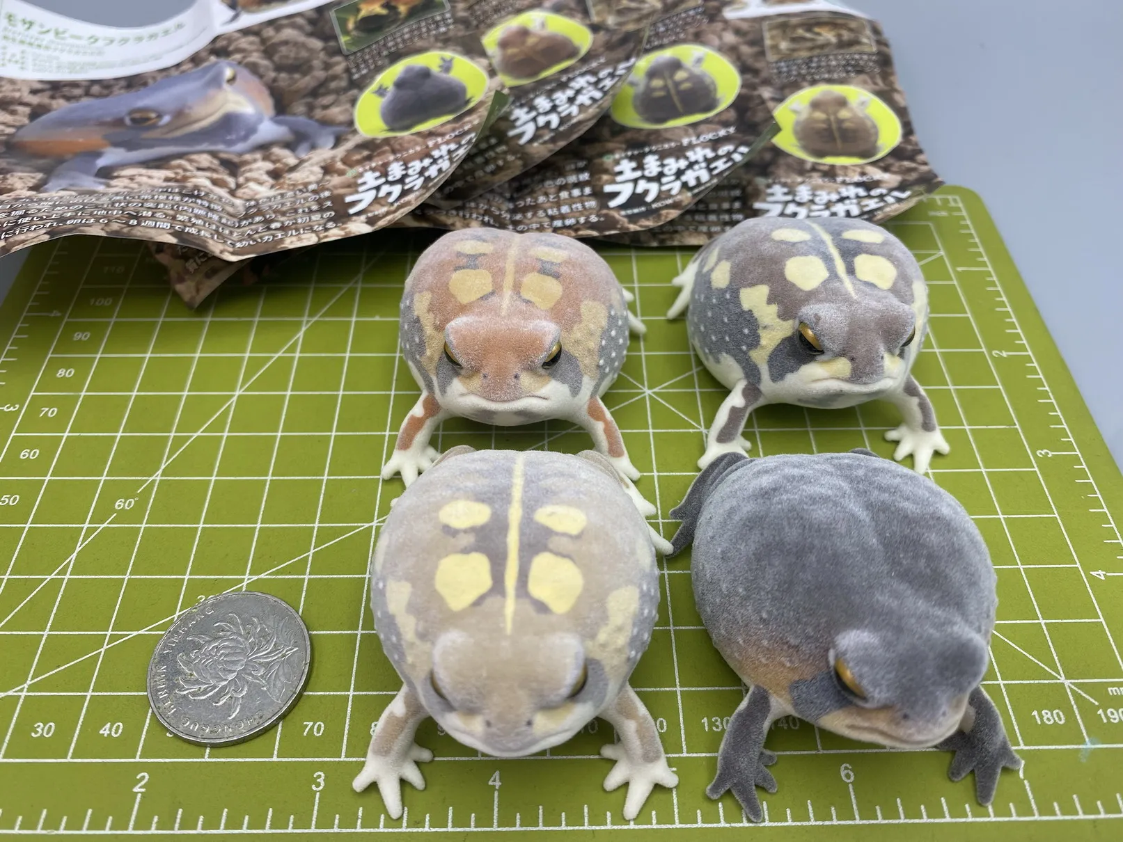 Genuine Kitan Club IKIMON FLOCKY Model flocking figure model toy  Gashapon toy Steamed Bun Frog