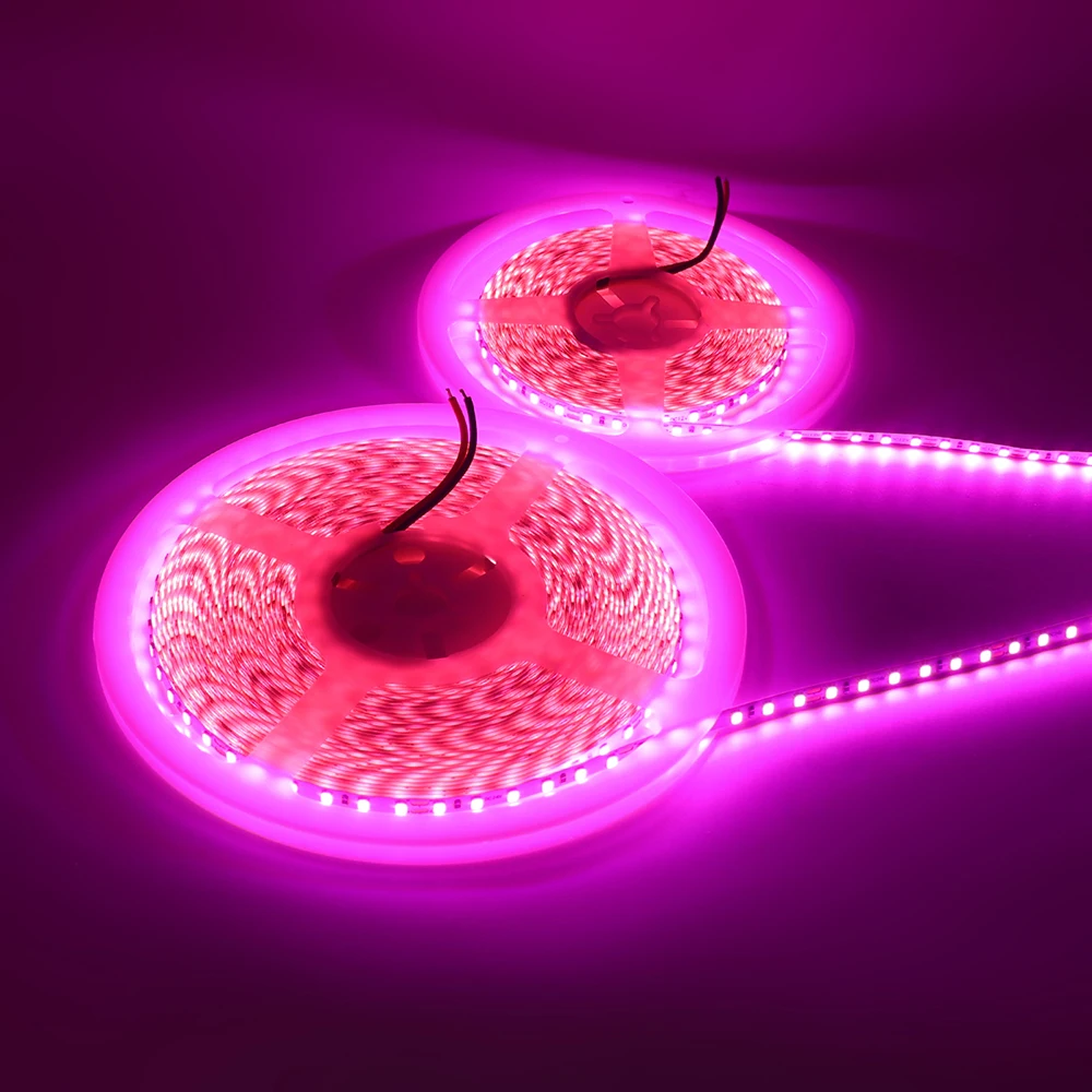 12V 24V 5m 10m LED Strip 5mm 8mm PCB Light 2835 120Leds/m White Red Pink Purple Ice Blue Flexible Tape Backlights for Decoration