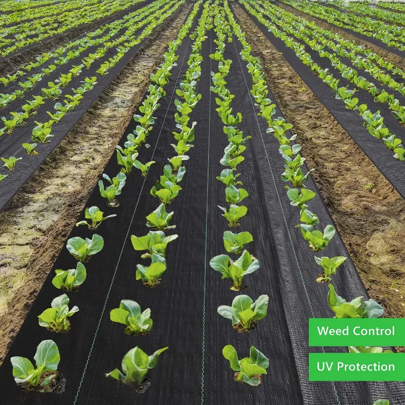 Horticultural Grass Proof Scenery Cloth, Woven Covering, Used for Landscape Ground Covering Grass Proof Cloth