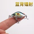 Blue Back Laser