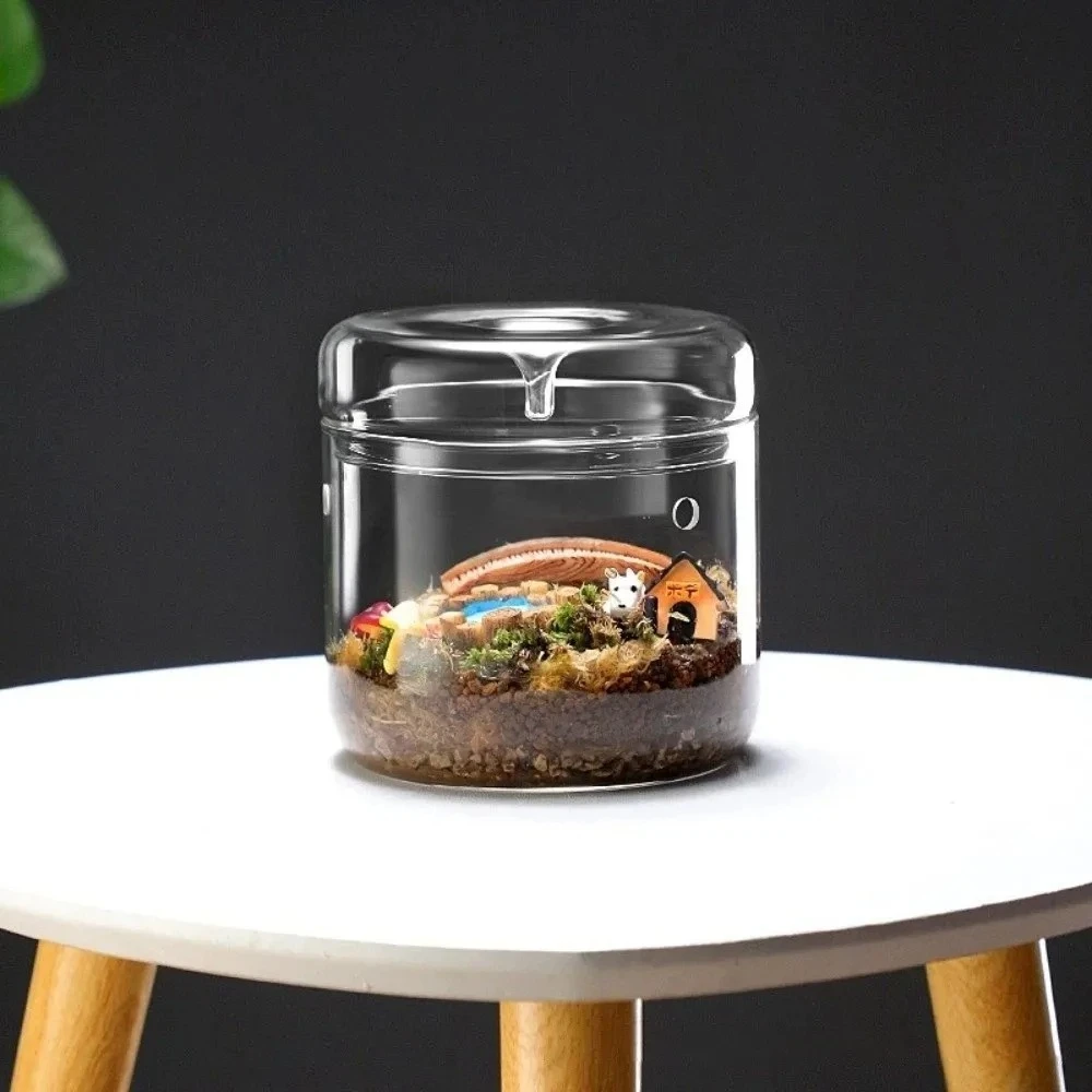 Micro Landscape Glass Vase with Dew Collection Cover Succulent Moss Plant Viewing Bottle Desktop Ecological Terrarium Home Decor