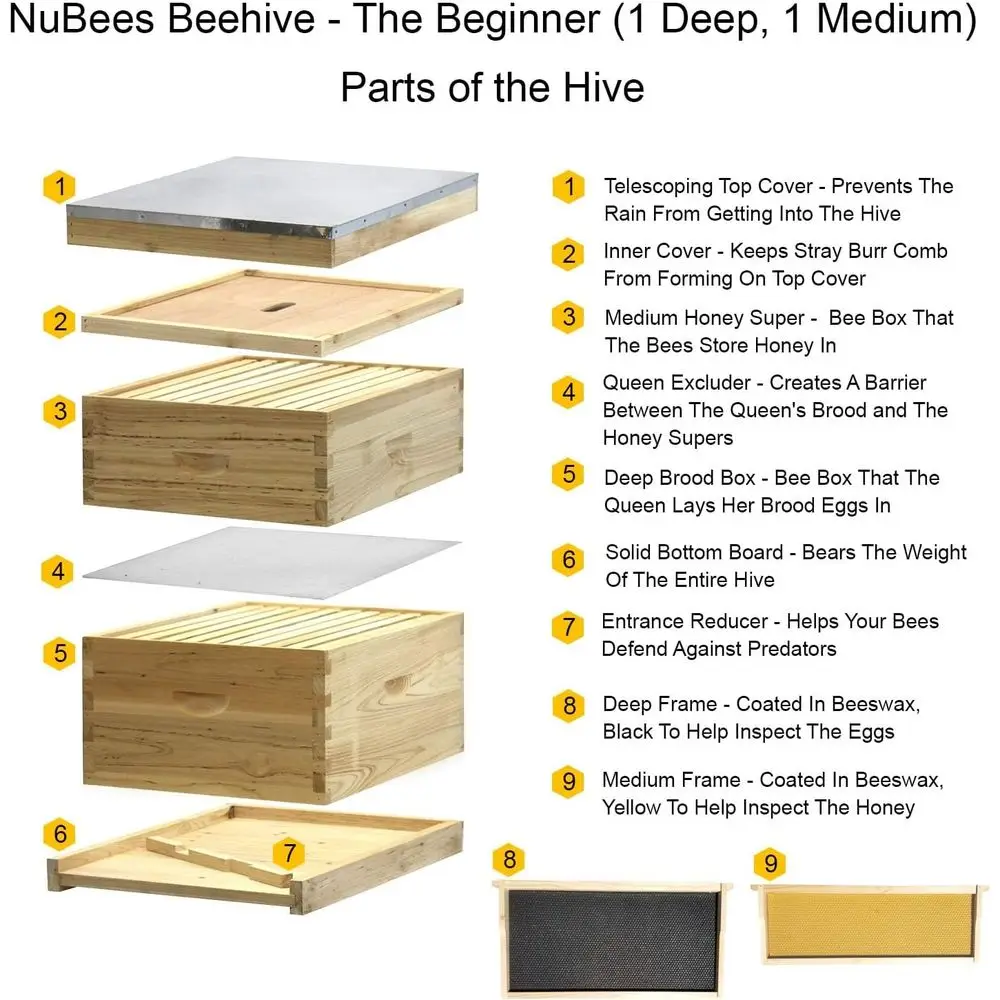 10-Frame Beehive Kit with Hive Body, Super Box, Pins, Wax-Coated Foundations
