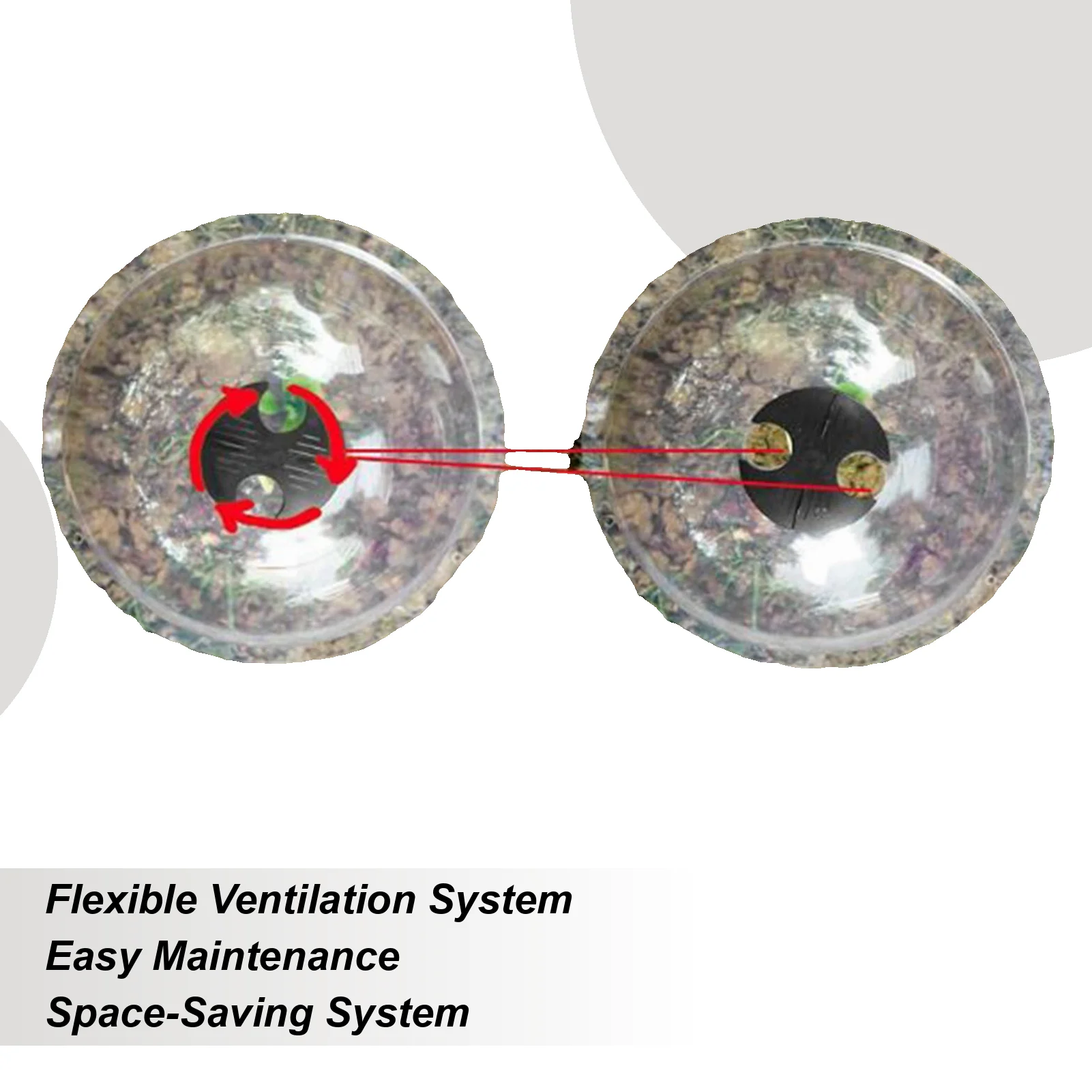 

Cloche Seedling Cover Frost-Resistant Propagation Humidity Domes for Plants Nursery Outdoors Greenhouse Landscape