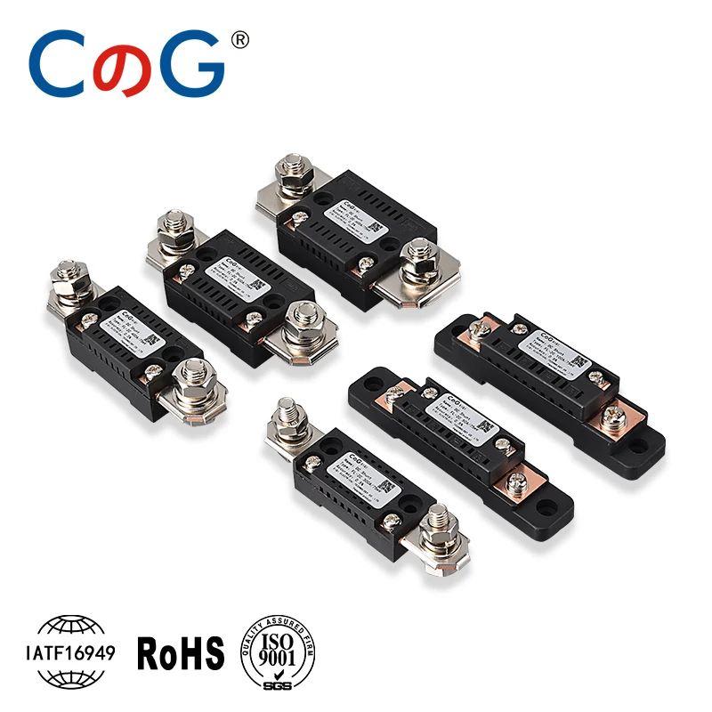 CG FL-2C Bocznik 10A 20A 50A 100A 150A 200A 300A 400A 500A 600A 750A 75mV DC Producent z bazowym amperomierzem Rezystor bocznika prądowego