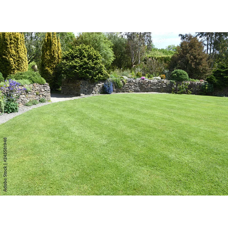 مستلزمات تصوير المناظر الطبيعية ، العشب الأخضر والسماء الزرقاء ، السحب البيضاء ، خلفية الصور ، مستلزمات الاستوديو ،