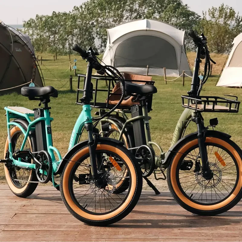 Factory 750W Fordable Light Tire Cargo Electric Bike Powerful All Terrain City Commute UL OEM for Adult