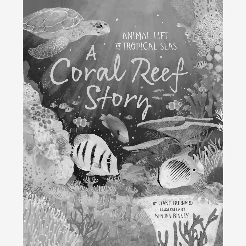 

Jane BurnardA Coral Reef Story Jane Burnard Macmillan UK 9780753448076 Book