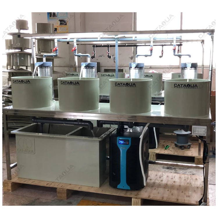 Sophisticated Fish Hatchery System Tilapia Fish Hatchery Equipment New Roe Fish s