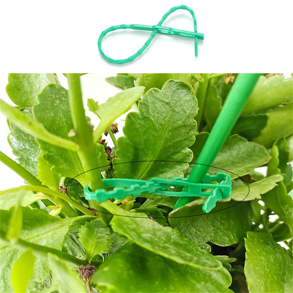 NEW 10/20PCS Green Fishbone Bandage Potted Plant Growth Fixed Tie Gardening Fishbone Ribbon DIY Gardening Tools