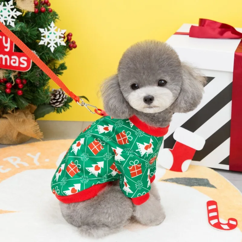 

Cats and Dogs Chinese New Year, Festive Autumn and Winter, Warm Christmas
